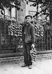 Breton onion seller, London, 1926-1927