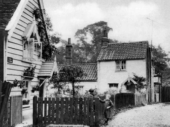 Timber Cottages by Hadley Green, London