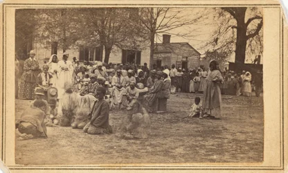 Refugee Camp, Bullard Plantation, 1864 (photo)
