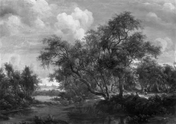 Wooded Landscape