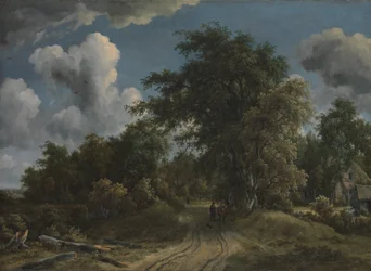 Woodland Road