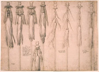 Nine Oxtails Mounted as Standards