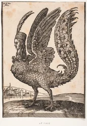 Unidentified mythical animal, harpy or siren