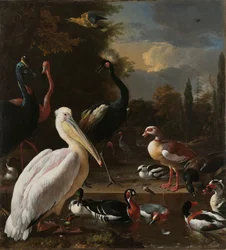 A Pelican and other Birds near a Pool, Known as 
