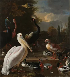 A Pelican and Other Birds by a Water Basin, known as 