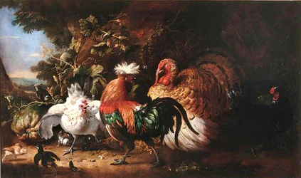 Barnyard Birds