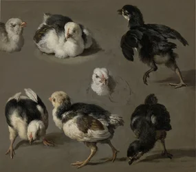 Seven Chicks