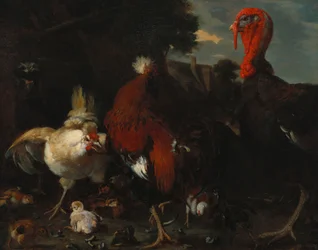 A Hen, Rooster and Turkey in a Farmyard