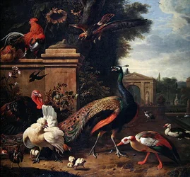 A Peacock, a Hawk and Various Fowl and Ducks in a Park