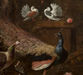 Detail from Menagerie, c.1680