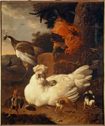 Hen with Chicks