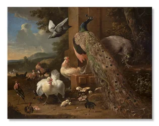 Menagerie, c.1680