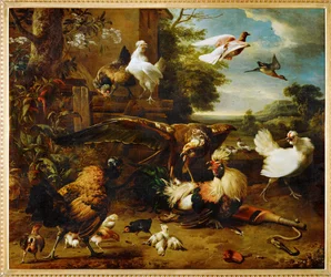 The Hawk in the Chicken Yard