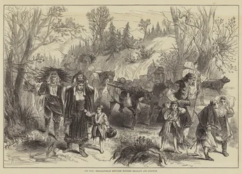 The War, Herzegovinian Refugees between Belosave and Goslitch