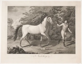 The Horse 