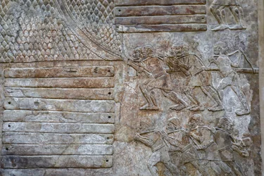 Transport of cedar of Lebanon wood