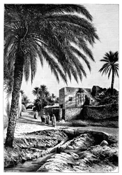 A street in Biskra, Algeria