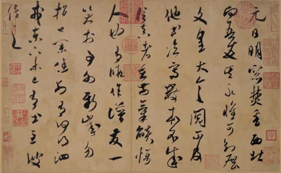 Calligraphy in Grass Script