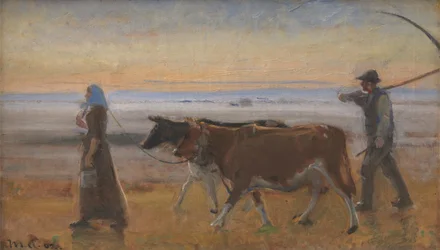 Cows Being Driven across the Moor