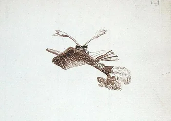 Drawing from Michael Faraday
