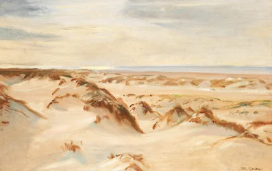 Dunes, Skagen