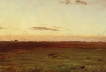View of Meadow and Dunes in the Evening Sun