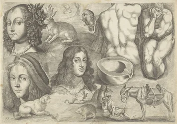 Study Sheet with Drawing Examples: Heads, Animals, Figures