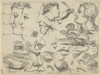 Study Sheet with Drawing Examples: Heads, Body Parts, and Animals
