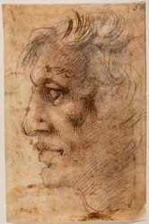 Male Head in Profile