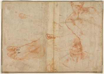Figure Studies for the Sistine Ceiling