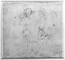 Figure Study, c.1511
