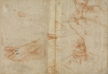 Figure studies for the Sistine Ceiling
