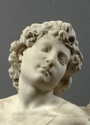 Head of the 