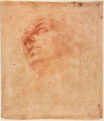 Head Study for the Sistine Jonah