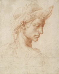 Ideal Head