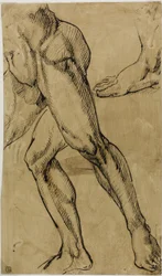 Legs and Feet of Male Nude