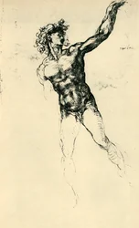Male Nude