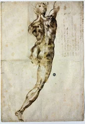 Nude from Behind, c. 1504