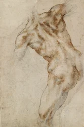 Nude Male Torso, Early 16th Century