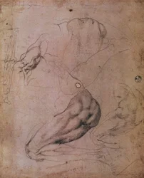 Sistine Chapel Ceiling (1508-12): Sketches of the Figure of Eve from the Scene of The Original Sin