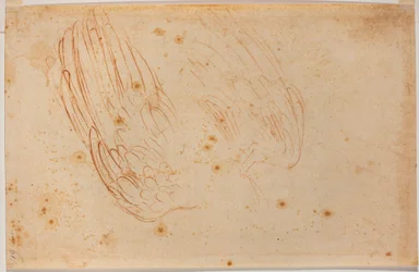 Sketch of an eagle
