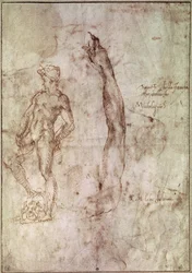 Study for David