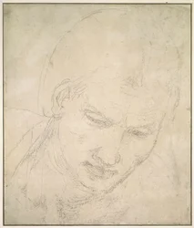 Study of a Head