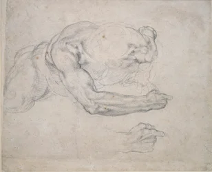 Study of a Man Rising from the Ground