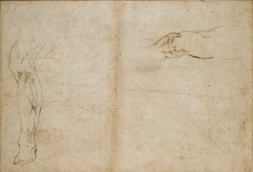 Verso: Studies of a Man