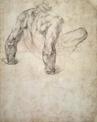 Study of a male nude, leaning back on his hands