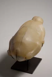 Two part vessel in the form of a duck