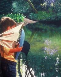 Exploring Ponds