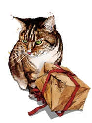 Birthday Cat on White