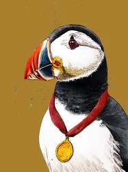 Congrats Puffin on Golden Yellow, 2020